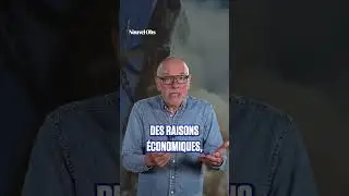 🇪🇭 🇲🇦 Pourquoi le Maroc l'emporte sur l'Alg&eacute;rie au Sahara occidental 🇪🇭 🇲🇦