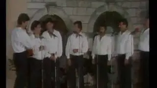 Dalmatinski šajkaš - Klapa Maestral