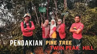 PENDAKIAN PINE TREE TWIN PEAK HILL