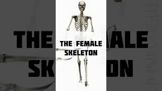 The Skeleton Never Lies