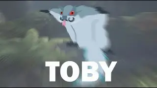 Tobi Kadachi
