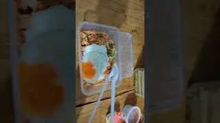 BLOCK 892C WOODLANDS DRIVE 50 WUFU COFFEESHOP TASTY WOK TOM YAM FRIED RICE & EGG