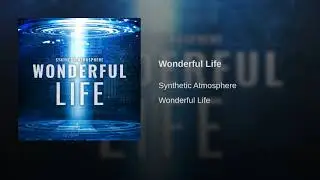 Synthetic Atmosphere   Wonderful Life