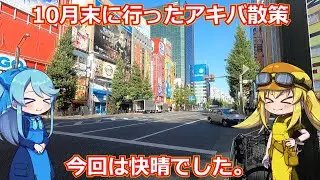 【アキバ散策】久々に丸一日自由気ままにアキバ散策をすることができました。ほぼノパソ漁りをしてる動画ですねこれ…【買い物報告】