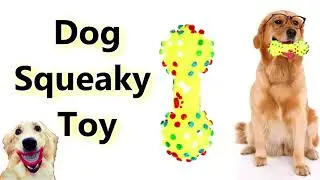 Dog Toy Sounds (Dog Squeaky Toy Noise)