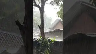 Night Road Rain Sounds 🌧️ #POV #Relaxing #RainSounds #Calm #NoTalking