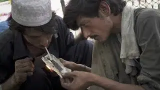 The Venomous Field | Anti Narcotics Force Pakistan Documentary - 2015