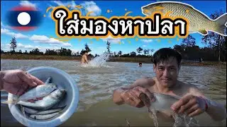 ໃສ່ມອງຫາປາຕາມວິຖິຊິວິດຂອງຄົນລາວໃນເຂດຊົນນະບົດ🇱🇦||หาอยู่กินตามวิถีชีวิตของคนลาวในเขตชนบท🐠🐠🌾🇱🇦