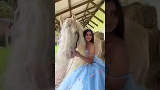 Princess dress❤ #horse #beautiful #like #youtubeshorts #youtube