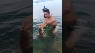 Hasil Tembak Ikan di Danau Toba