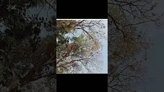 POV=you accidently open my gallery#cloud#greenery #nature #clicks