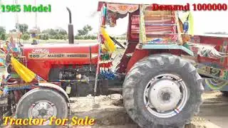 MF 265 Special Tractor For Sale