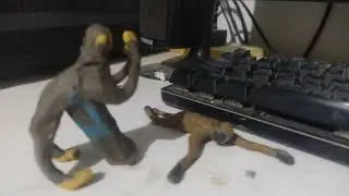 Chimpancé Vs Mono gibon