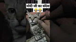 अब की बार मोदी जी की सरकार 😂😂 #shorts #ytshorts