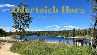 Oderteich in Germany: A hiking trail in the Harz Mountains #walkingtour #harz #germany #4k