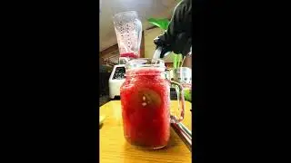 Refreshing Watermelon Sprite & Lime Drink Recipe 🍉🥤