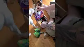 April 2021 Barkbox Dog Unboxing!