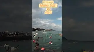 #판포포구 에서 물놀이 #panpoli #jeju #dive