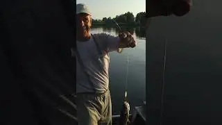 Fishing on the scenic Dnipro River, Ukraine. #shorts