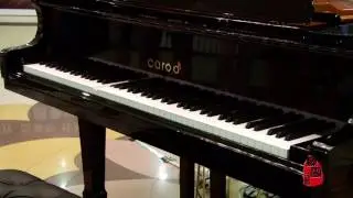 Flight of the Bumble-bee Piano Piece -- By Carod Piano