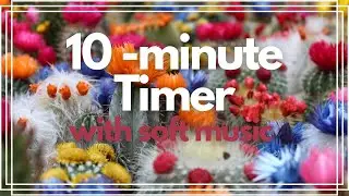 10 Minute Blooming Flower Nature Timer with soft music