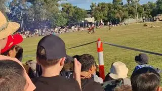 6 RAR Combat Display at Gallipoli Barracks
