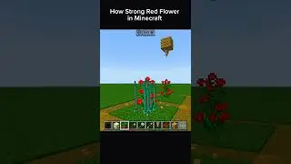 Flower in Minecraft is crazy! #minecraftlogic #minecraftshorts #minecraftphysics #funnyminecraft