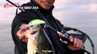 Biwa Chronicles: Road to Realis Crank G87 20A Chapter 4