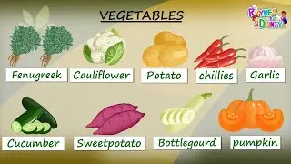 Vegetable Names with Pictures | Different Types of Vegetables | vegetables name in English | Kids