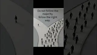 Choose Your Path: Don't Follow the Majority, Follow the Right Way