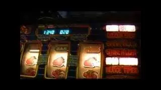 Reelfruits in Maidstone, Gameplay of BingoBelle and Wipeout(nice result at end)