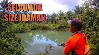 CASTING HARUAN || SELALU ADA SIZE IDAMAN DI SPOT INI || CALAMUS X2