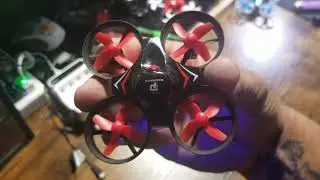 Redpawz R010