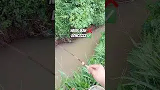 gagal strike #mancing #fishing #microfhising #mancingwadersungai
