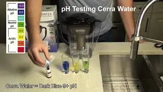 Getting Started Using Your Cerra Water Pitcher