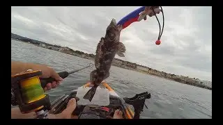 Monterey Kayak Fishing 