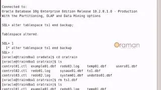 how to do hotbackup in oracle database