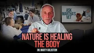 Dr. Marty Goldstein hits us with truth bombs and we loved it