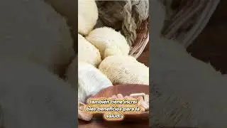 Melena de Leon #mushroombenefits#MelenaDeLe&oacute;n #LionManeMushroom #HongosMedicinales