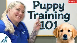 Puppy Training Troubleshooting - Subscriber Q&A