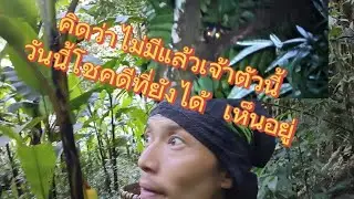 คิดว่าไม่มีแล้วโชคดีที่ได้เห็นอยู่