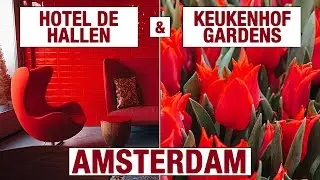 Tram Depot Hotel, and Tulip Gardens - a weekend in AMSTERDAM