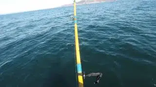 HOBIE PRO ANGLER 360 WITH TWO HUGE MONSTER HALIBUT in the kayak  THANK YOU JESES!!!!!