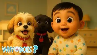 Paw and Science 🐾 | Funny & Smart Dog Song for Curious Kids!