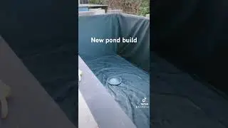 New koi pond build under way !!