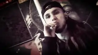 CXNTICINIX  x  LOUP X  - 183 ST