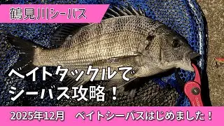 鶴見川シーバス 12月 ベイトタックルでシーバス攻略！