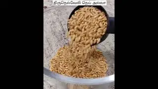 TIRUNELVELI HALWA | TRADITIONAL WHEAT MILK HALWA IN ENGLISH & TAMIL
