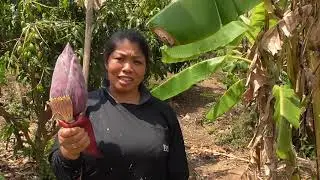 Thailand Ausgewandert. Uwes KOCHSTUDIO. PORNPANAS  🥡 PAD THAI. 🥡 Traditionelles Nudelgerichte
