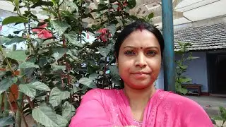 मेरे गांव के नजारे l🛖🌿🌴🌺🌳 🙏Namaste India Jenifar'sVlog